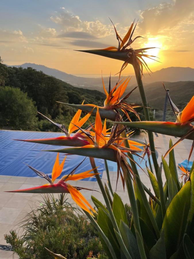 Villa U Tramontu Granace Exterior photo